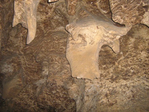 печера - в Гермаківці - тур з історії природи
